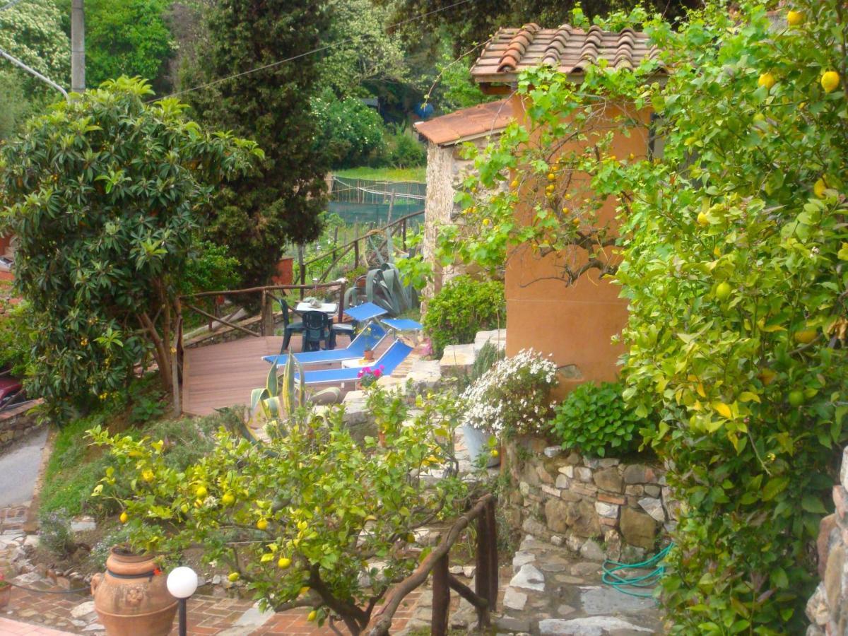 Holiday Home Bruna By Interhome Massarosa Bagian luar foto